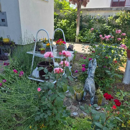 Appartement Sena 1